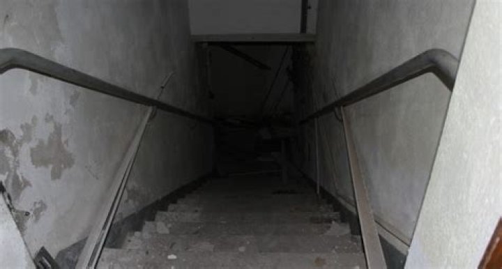 Who Is Elisabeth Fritzl And Where Is She Today? |